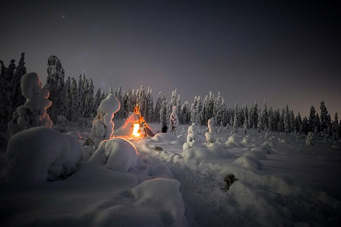 Night Snowshoeing Adventure under the Northern Lights - Aurora Chances: What the Guide Is Actually Doing in the Dark