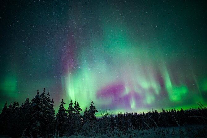 Night Snowshoeing Adventure under the Northern Lights - Small Group, Big Difference: How Guidance Feels at Night