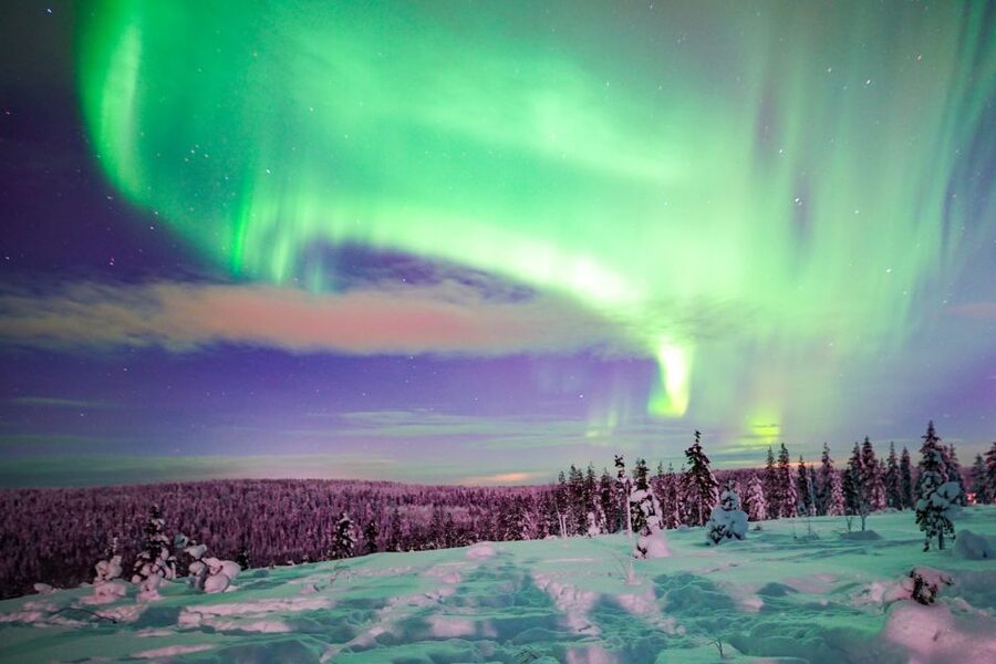 Night Snowshoeing Adventure under the Northern Lights - Price and Value at About $123 Per Person