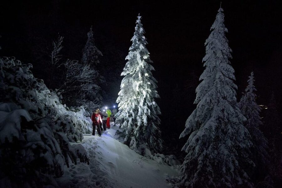 Night Snowshoeing Lapland Experience - Night snowshoeing in Rovaniemi: the real appeal of a white night