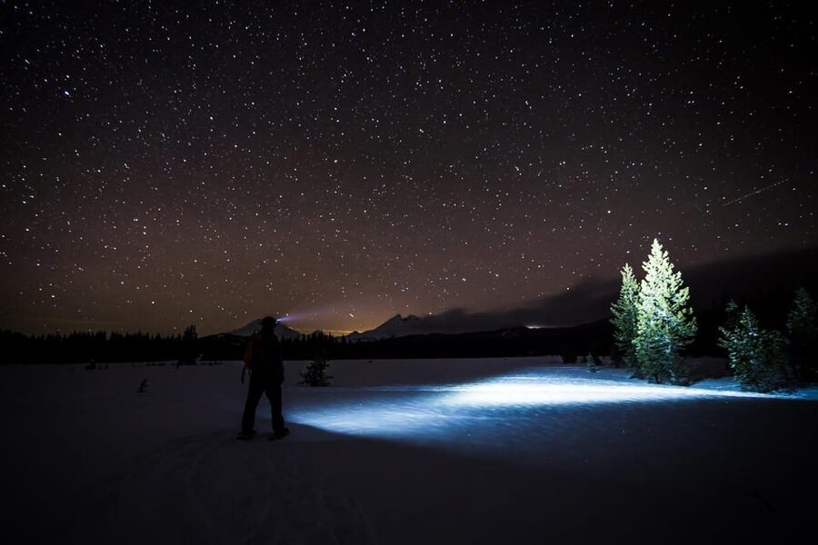 Night Snowshoeing Lapland Experience - Under headlights: forest trails versus a frozen lake