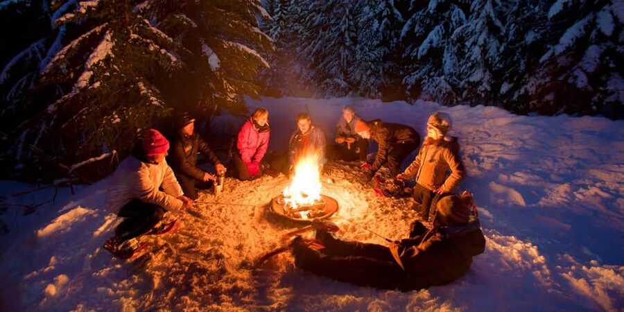 Night Snowshoeing Lapland Experience - What you learn on the snow: guides, wildlife talk, and small details