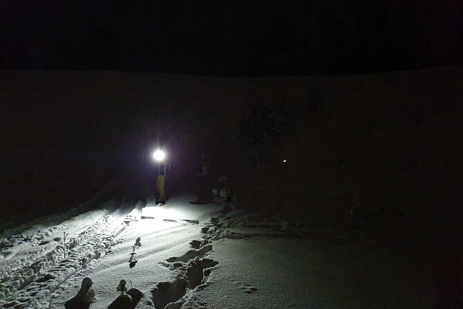 Nocturnal Skiing: Experience the Arctic's Magic - Why nighttime cross-country near Lake Norvajärvi is so memorable