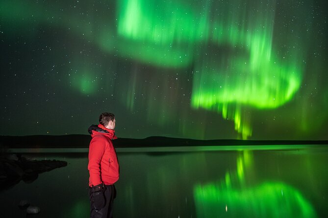 Northern Light Hunt with Photography from Rovaniemi - Van comfort, guide style, and why patience matters in Lapland