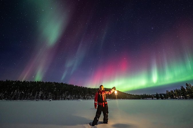 Northern Light Hunt with Photography from Rovaniemi - Aurora reality check: the sky is the boss