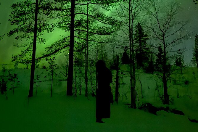Northern Lights Adventure in the Wild with Campfire Treats - The drive out: 40 km of quiet, plus stop-and-look breaks