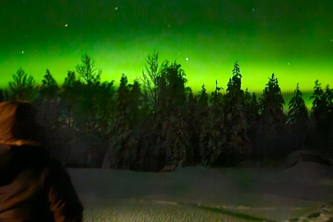 Northern Lights Auroras from Kemi-Tornio with Pickup - What you do during those 3 hours outside in Lapland cold