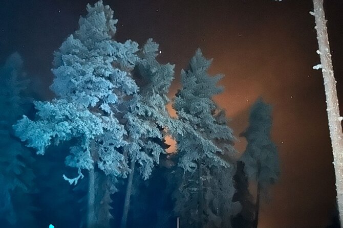 Northern Lights dinner in a Glass Igloo - What you should double-check before booking