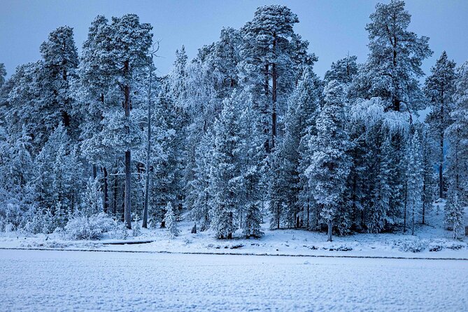Northern Lights Holiday in Finland - Day 5: Backcountry Skiing in Inari Wilderness and a Remote Aurora Camp