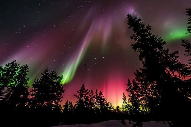 Northern Lights Hunt from Rovaniemi with Folk Tales and Snacks over Campfire - Weather and cancellations, what to watch for