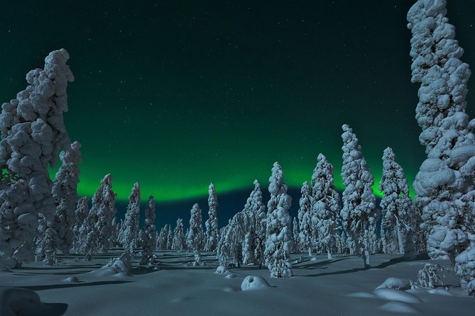 Northern Lights Hunt from Rovaniemi with Folk Tales and Snacks over Campfire - The Aurora reality check, and how this tour handles it