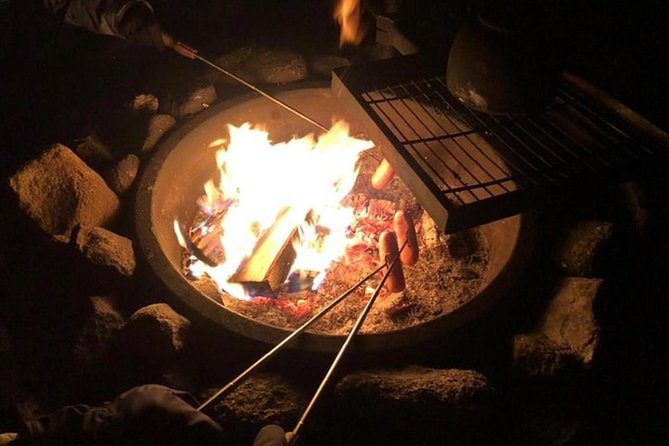 Northern Lights Hunt Including Snacks on Campfire from Levi - Who this tour suits best, and who should rethink it