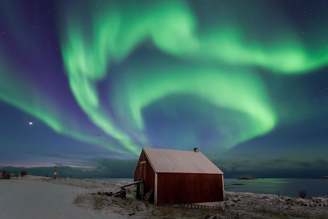 Northern Lights Hunt Including Snacks on Campfire from Rovaniemi - “Fun Facts and Legends” While You Wait