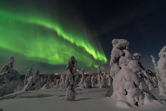 Northern lights hunting by minibus - Key Things to Know Before You Go