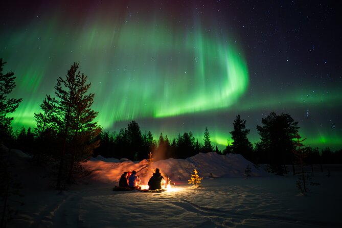 Northern Lights Hunting Expedition in Ranua, Lapland - Campfire comfort, warm drinks, and Lapland-style food