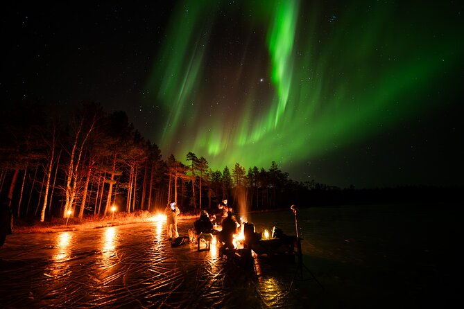 Northern Lights Hunting Expedition in Ranua, Lapland - Timing, pickup points, and the simple logistics that prevent stress