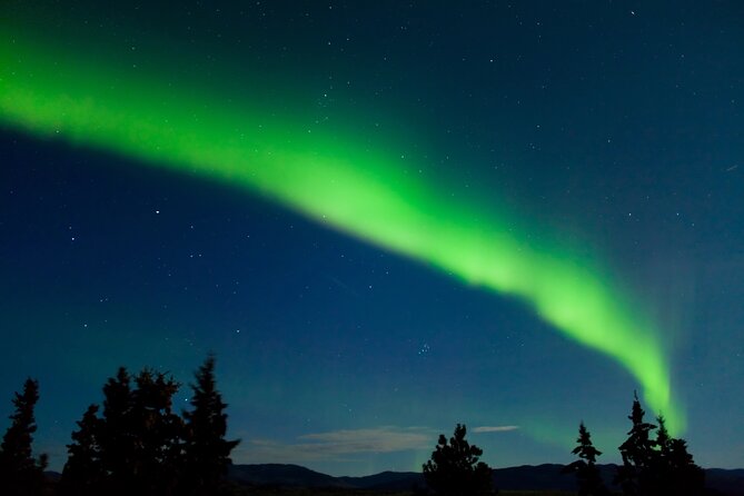 Northern Lights Hunting of Rovaniemi - Night-Ready Aurora Chasing From Rovaniemi