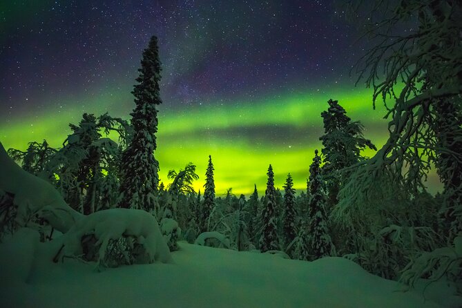 Northern Lights Hunting of Rovaniemi - Warm Food, Hot Drinks, and Marshmallows While You Wait