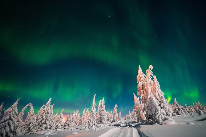 Northern Lights Hunting of Rovaniemi - Group Size and Van Comfort: Easy Logistics, Better Control