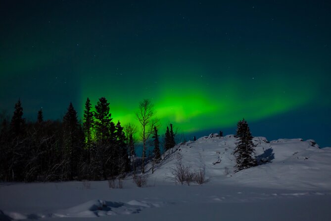 Northern Lights Hunting of Rovaniemi - Stop 1 in Rovaniemi: The Firelit Lapland BBQ Setup