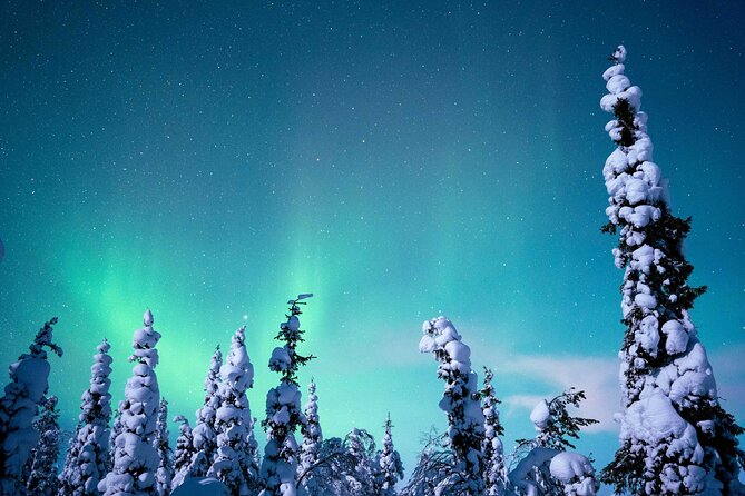 Northern Lights Hunting Photography Tour in Levi - Warmth, Snacks, and the Cold Waiting Game