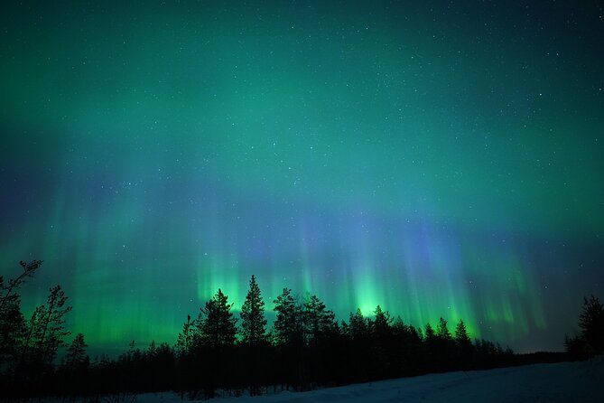 Northern Lights Hunting Photography Tour in Rovaniemi Finland - Quick hits before you go