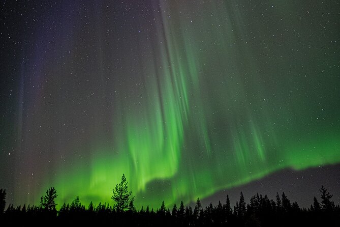 Northern Lights Hunting with a photographer (Only small groups) - Why a photographer-led Northern Lights hunt in Rovaniemi beats solo chasing