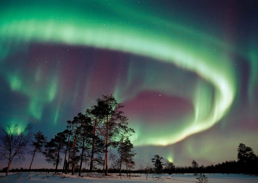 Northern Lights Hunting with Aurora Workshop - Key highlights you can feel good about