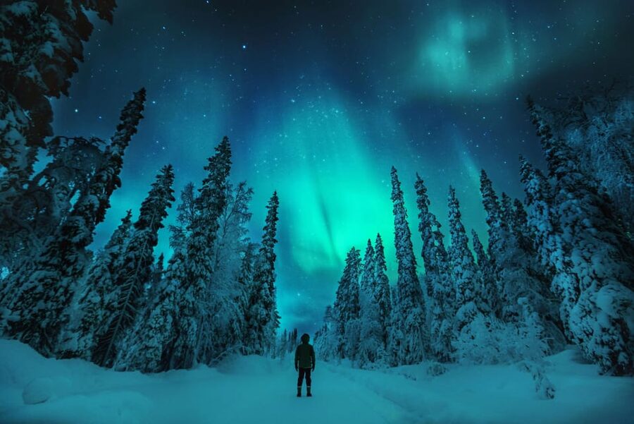 Northern Lights Hunting with Aurora Workshop - How the guides hunt in real time, not just on paper