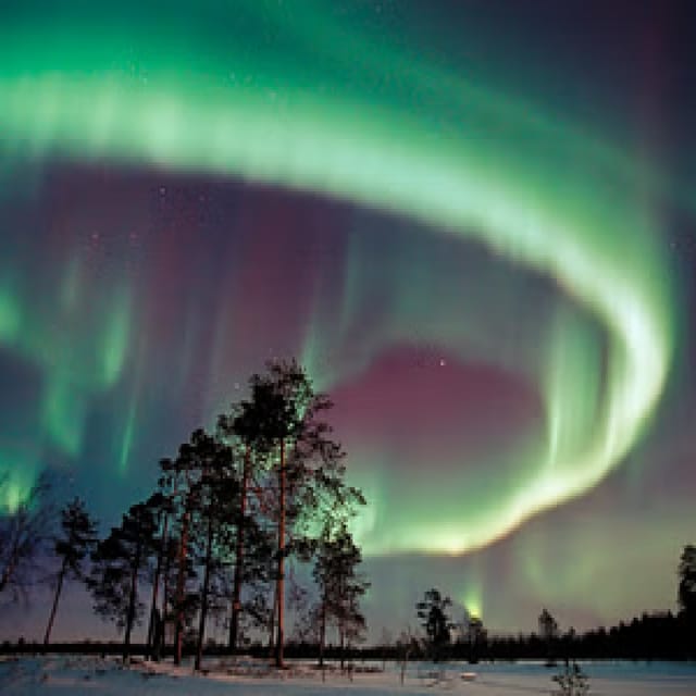 Northern Lights Hunting with Aurora Workshop - What the aurora hunt includes: snacks, hot drinks, and guide photos