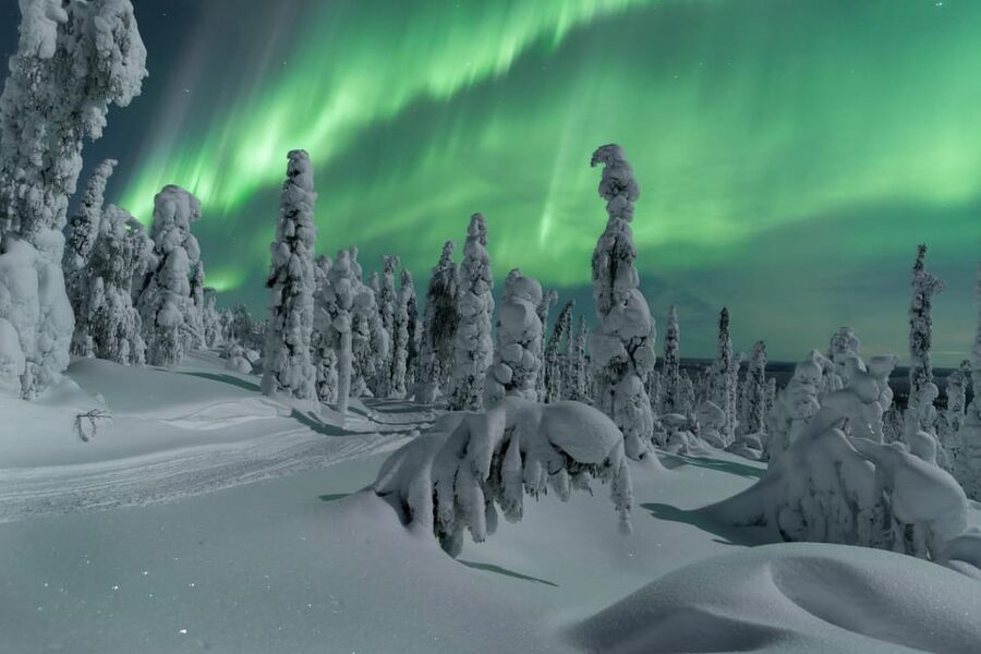 Northern Lights Hunting with Aurora Workshop - The workshop: aurora science, culture, and how to read the forecast
