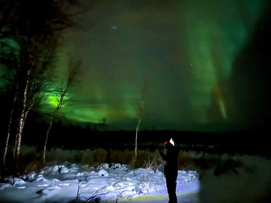 Northern lights private tour Rovaniemi - Key Highlights You Will Feel Immediately