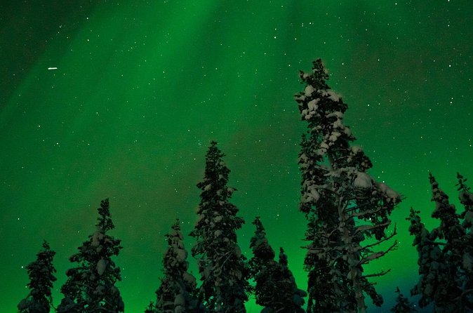Northern lights Reindeer Sledge Ride - Organization Matters: What a Well-Run Evening Looks Like