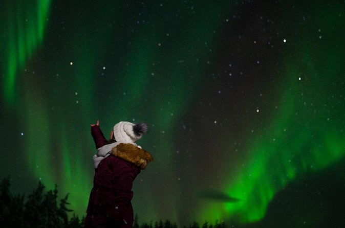 Northern lights Reindeer Sledge Ride - Who Should Book, and Who Might Skip