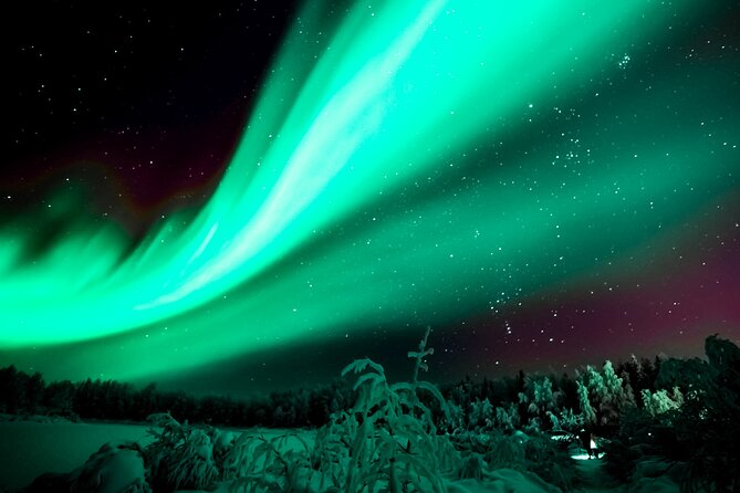 Northern Lights Rovaniemi: Guaranteed Viewing & Unlimited Mileage - What Guaranteed Viewing Means When You Are Chasing the Aurora