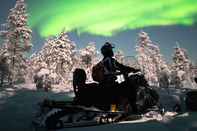 Northern lights safari by snowmobile - The ride itself: dark forests, frozen water, and the bump reality