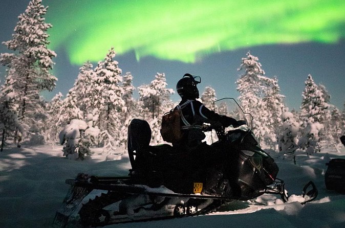 Northern lights safari by snowmobile - Aurora expectations: how to handle the lights being out of your control