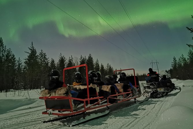 Northern Lights Sledge Ride - Key things I think matter most on this ride