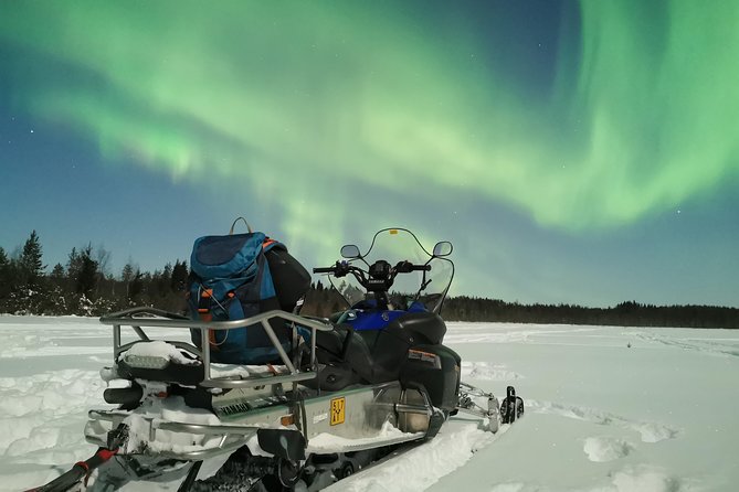Northern Lights Sledge Ride - Price and what $92.52 really buys in Rovaniemi