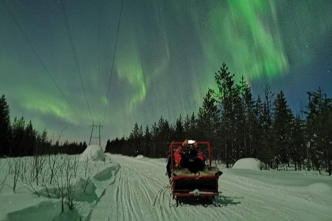 Northern Lights Sledge Ride - Who this tour suits best, and who should rethink it