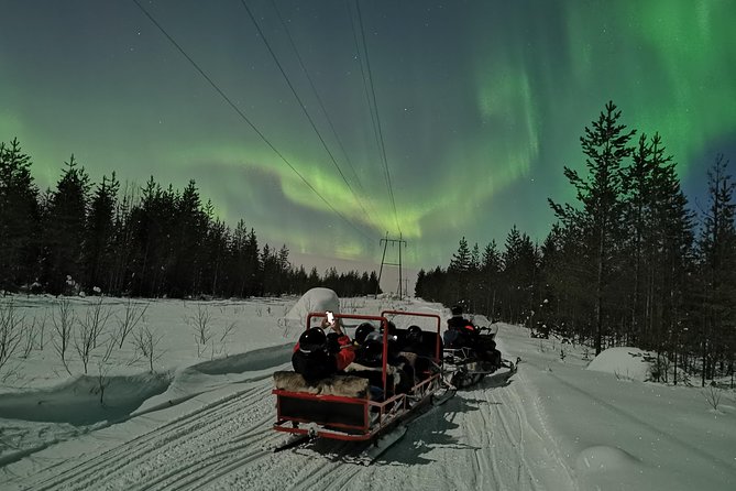 Northern Lights Sledge Ride - Should you book this Northern Lights sledge ride?