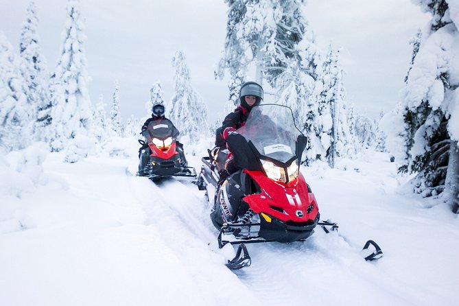 Northern Lights Snowmobile Driving Safari - Northern lights expectations: plan for luck, then enjoy what you get