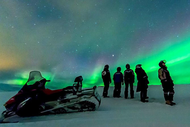 Northern Lights Snowmobile Safari from Rovaniemi with Campfire Picnic - Quick hits you’ll care about