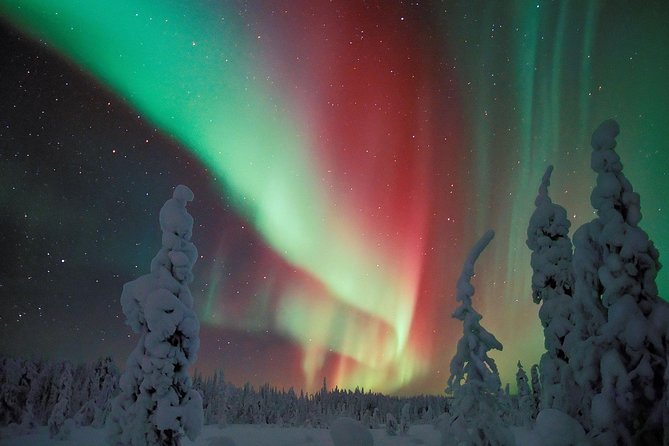 Northern Lights Snowmobile Safari from Rovaniemi with Campfire Picnic - Northern Lights hunt: how the stops work in real life