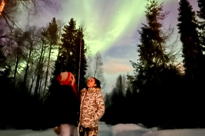 Northern Lights Tour At The Campfire - Why This Rovaniemi Northern Lights Tour Works