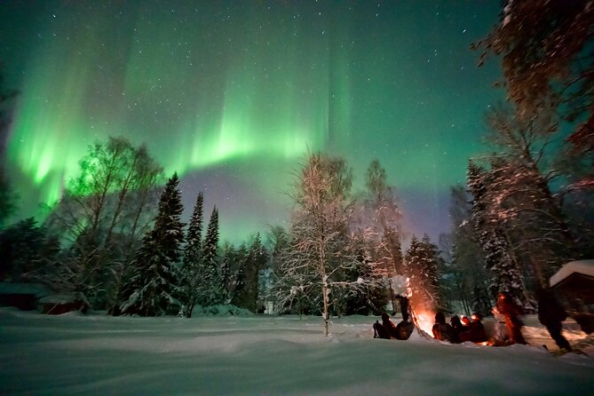 Northern Lights Tour in Atmospheric Cottage - Key highlights you will feel right away