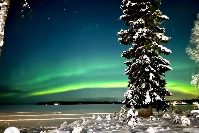 Northern Lights Tour Snowmobile Driving - Key things to know before you go