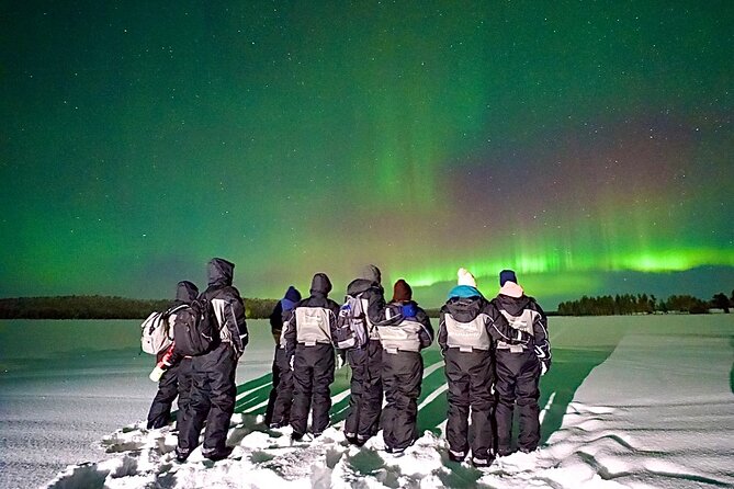 Northern Lights Tour Snowmobile Driving - Rovaniemi at 7pm: why the timing fits aurora odds