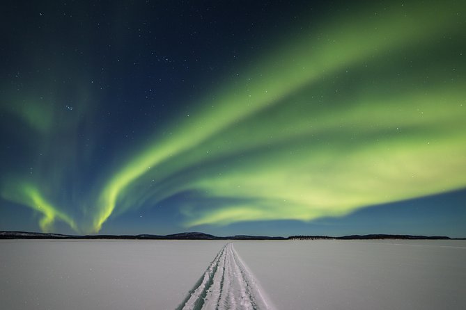 Northern lights tour to Lake Inari from Ivalo, Reindeers & Dinner - Key things I’d circle before you go