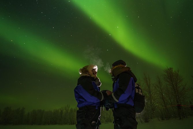 Northern lights tour to Lake Inari from Ivalo, Reindeers & Dinner - Reindeer interaction, without the confusion